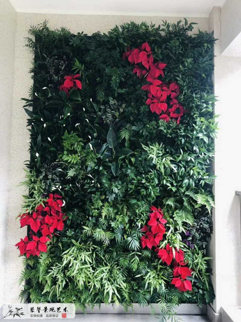 室內(nèi)陽臺植物墻