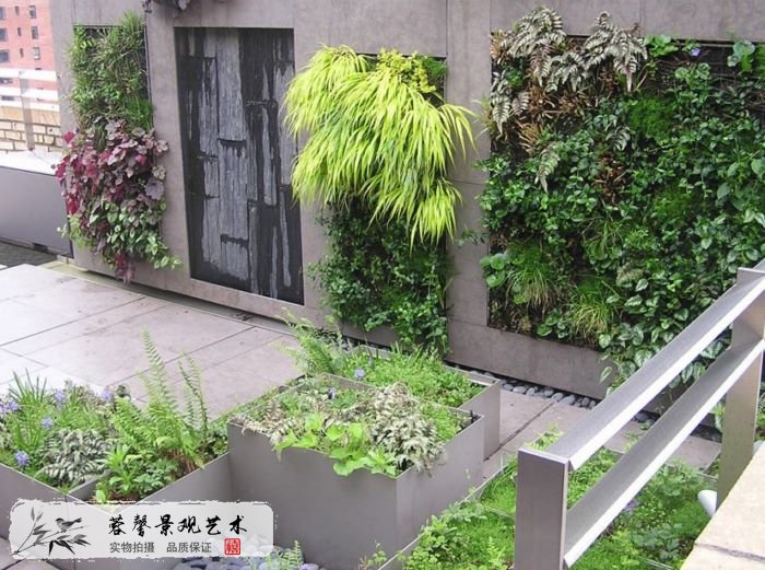 從零開始學植物墻