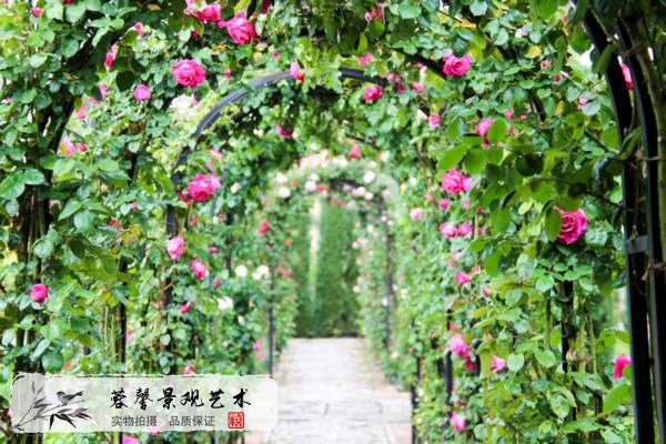 綠植花藝門頭