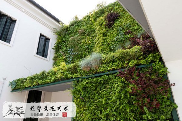 綠植花藝門頭