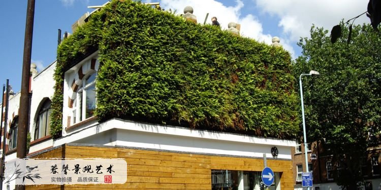 室內植物墻制作