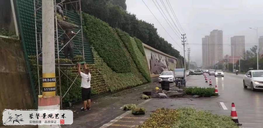 護坡綠化