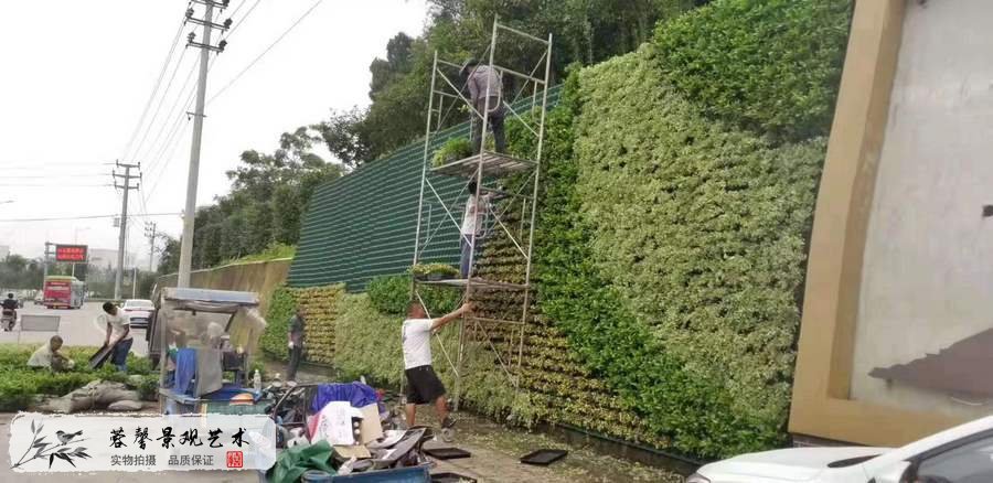 護坡綠化
