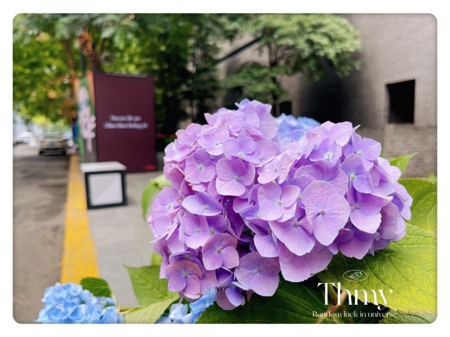 街道花箱景觀綠化