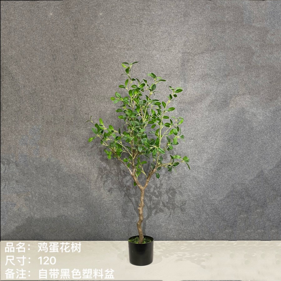 仿真雞蛋花樹