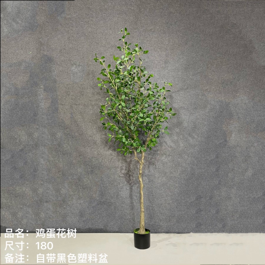 仿真雞蛋花樹