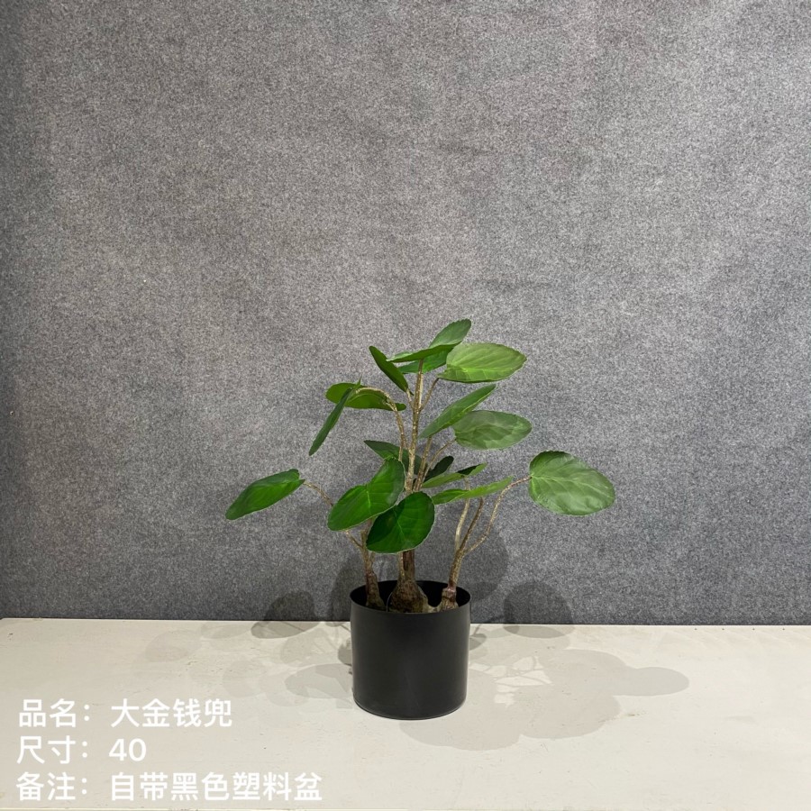 仿真大金錢兜