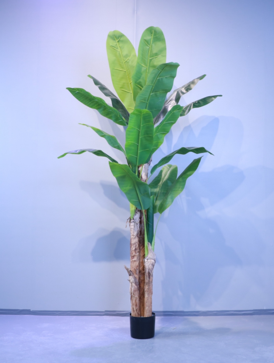 仿真芭蕉樹(shù)