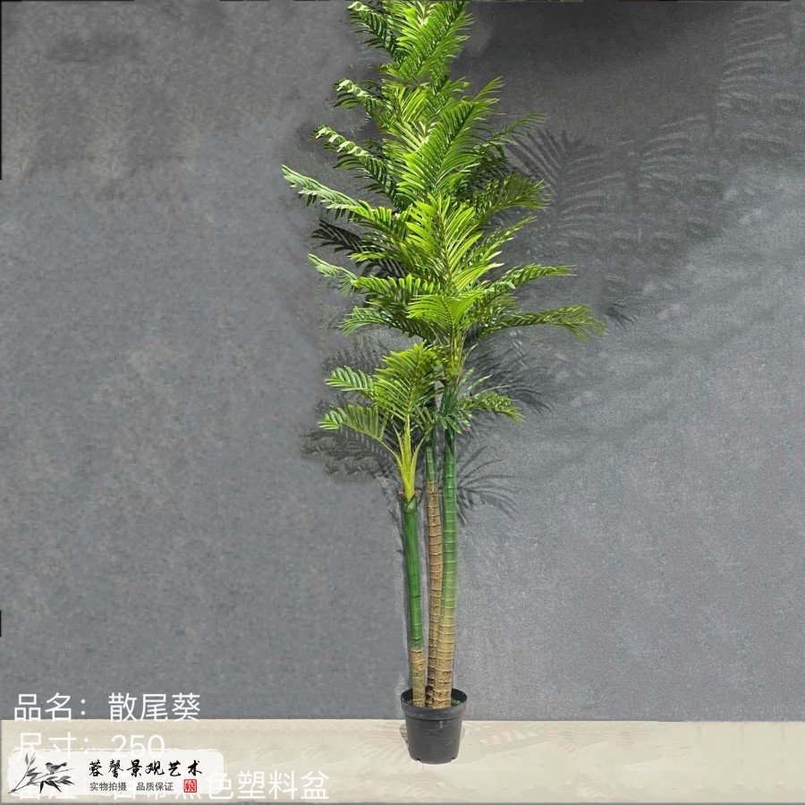 仿真散尾葵樹(shù)