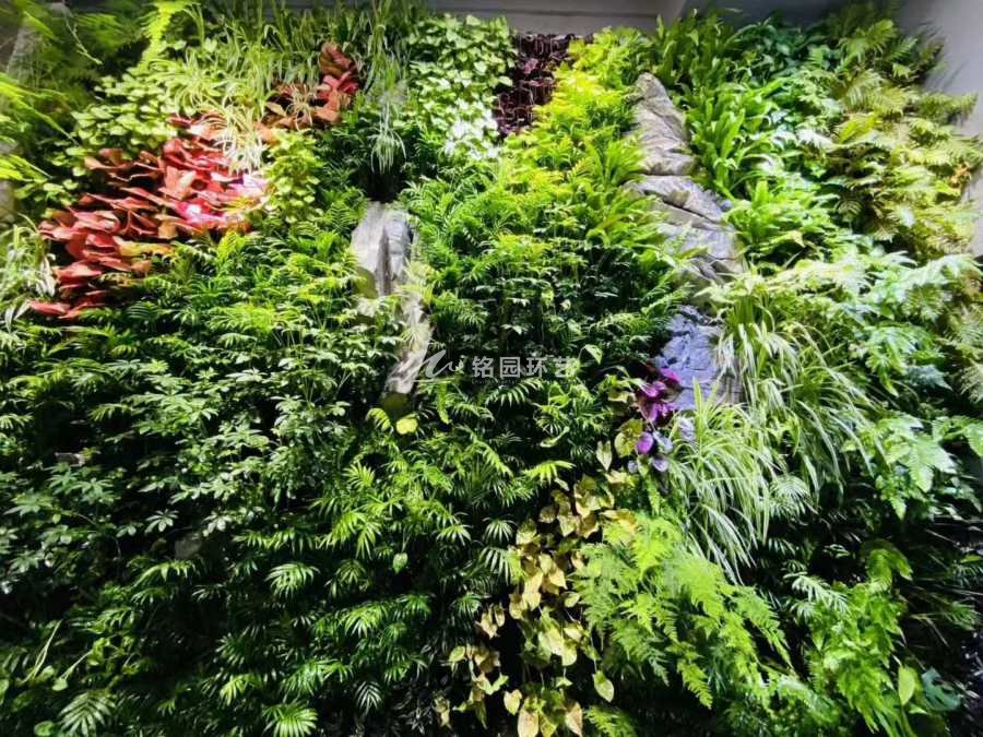 中式風格室內(nèi)植物墻