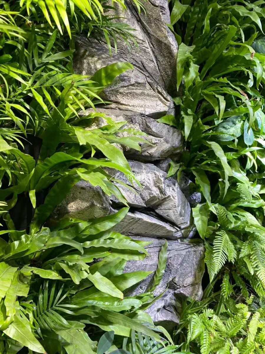中式風格室內(nèi)植物墻