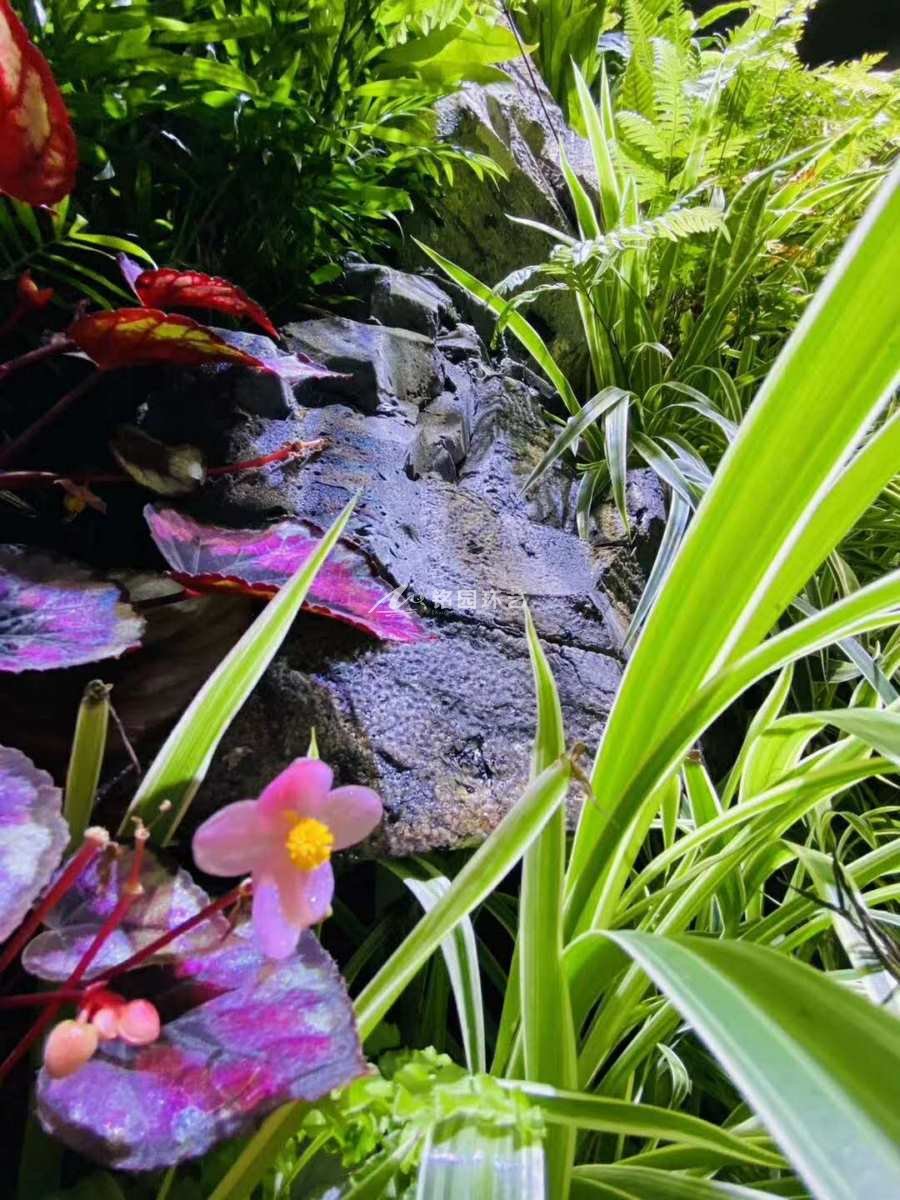 中式風格室內(nèi)植物墻