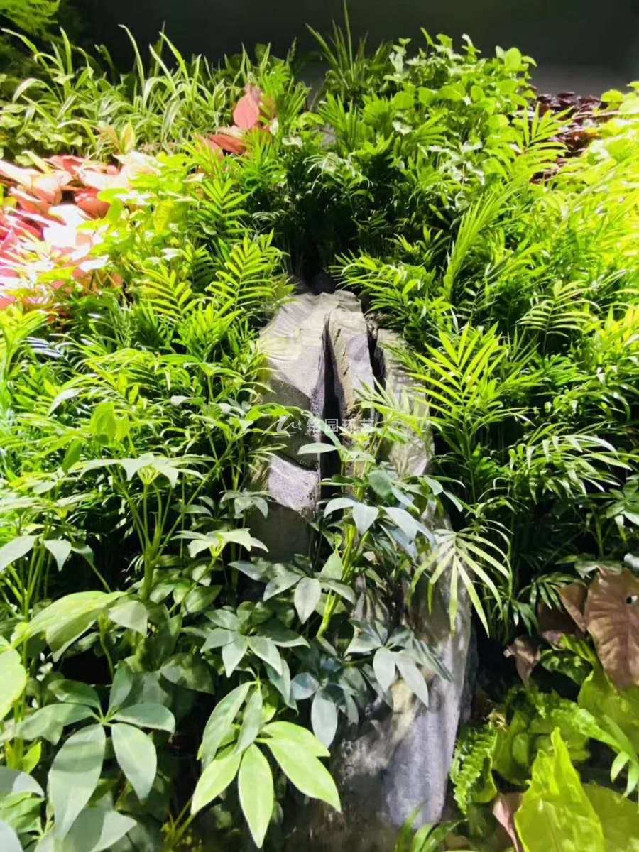 中式風格室內(nèi)植物墻