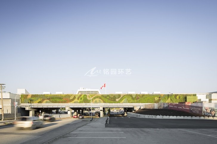 高架橋植物墻
