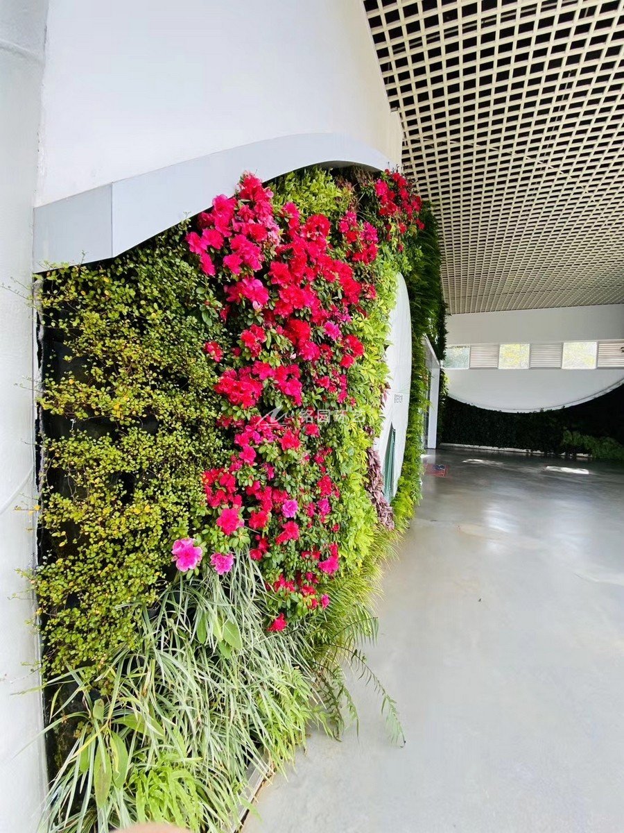 門(mén)頭植物墻