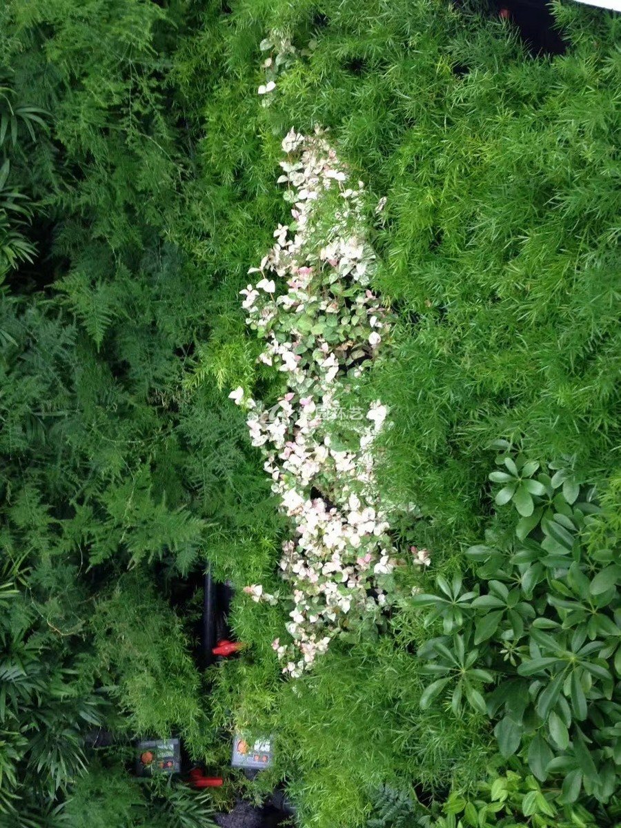 門(mén)頭植物墻