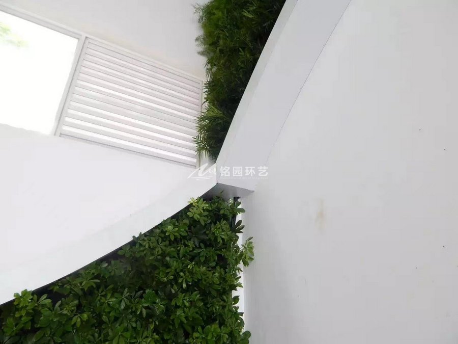 門(mén)頭植物墻