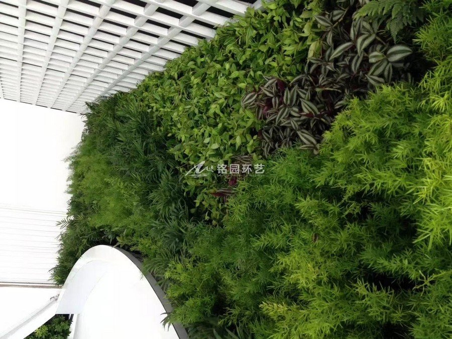 門(mén)頭植物墻