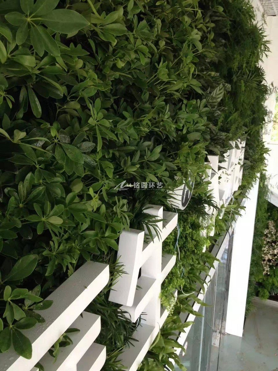 門(mén)頭植物墻