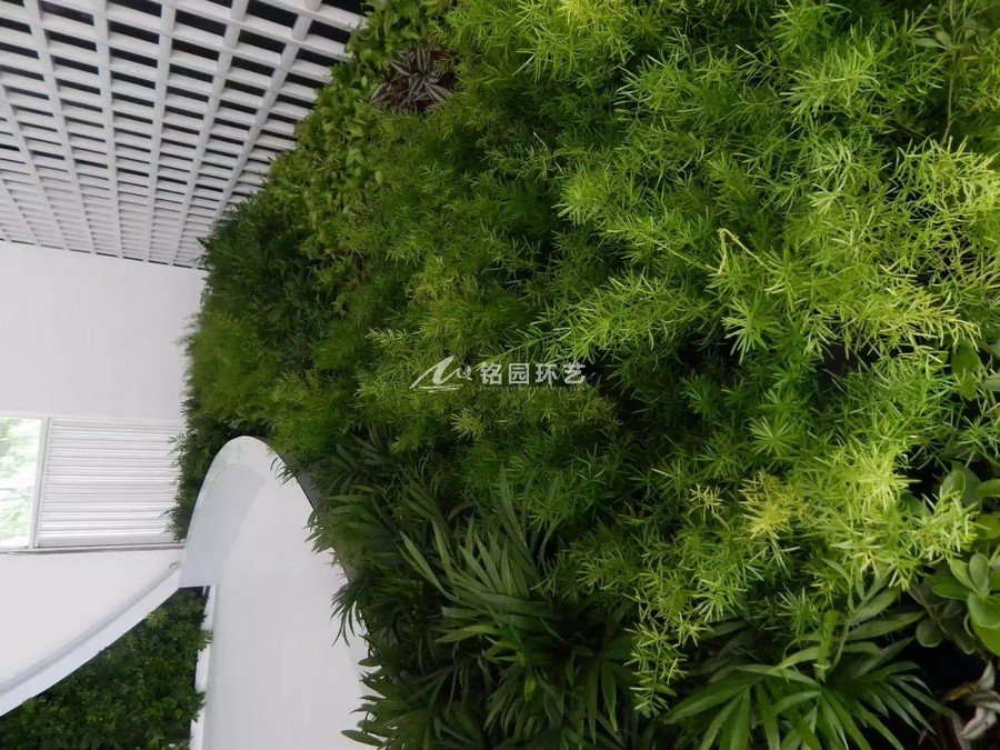 門(mén)頭植物墻