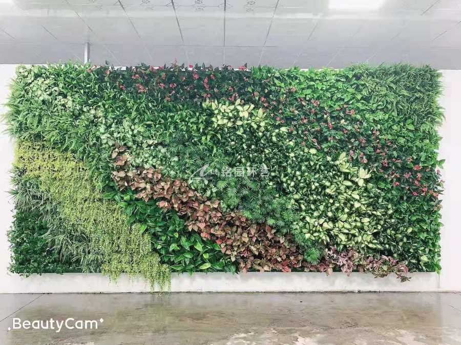 展廳形象垂直綠化