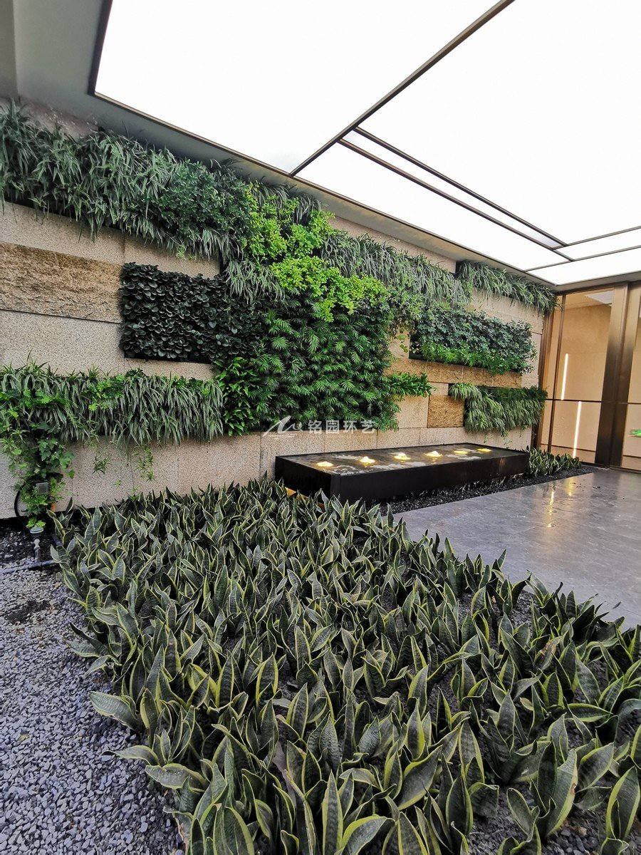 室內(nèi)垂直綠化植物墻