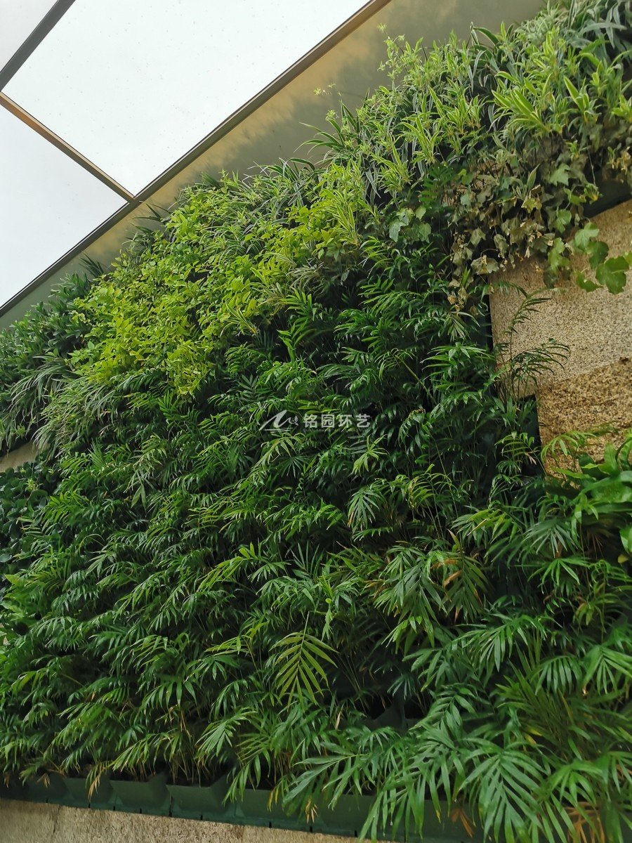 室內(nèi)垂直綠化植物墻