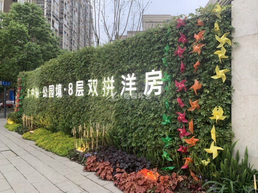 室外隔斷植物墻