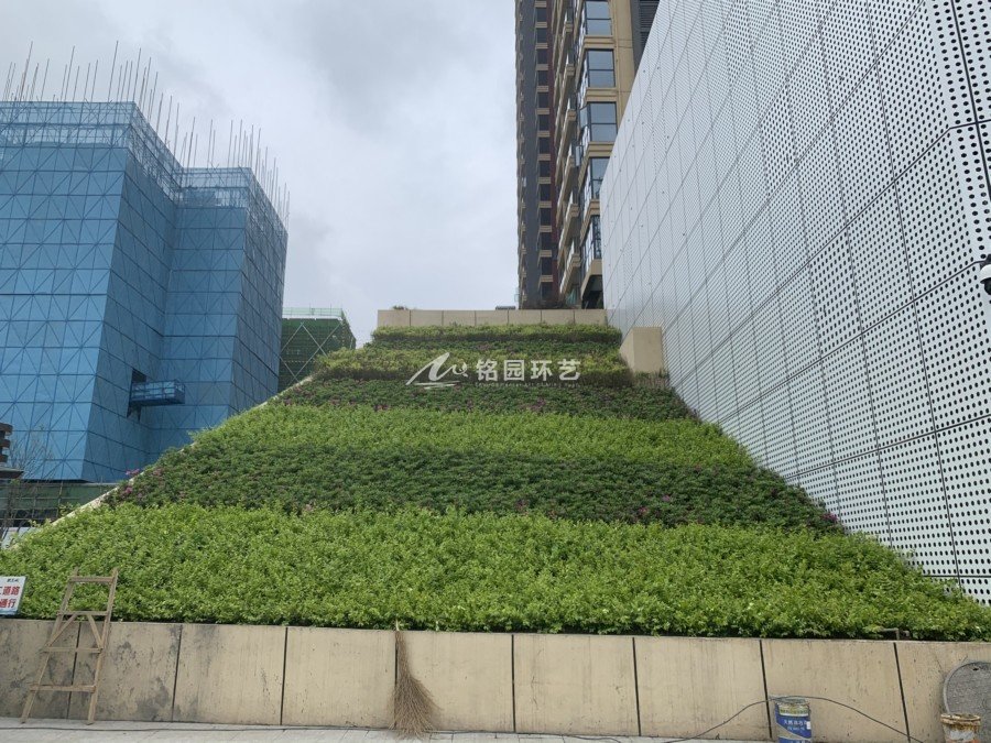 斜坡垂直綠化