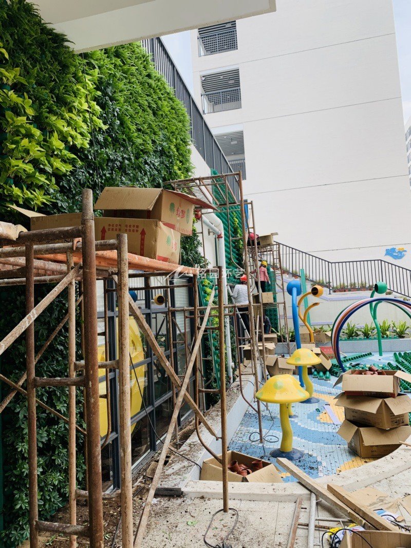 小學建筑外墻植物墻